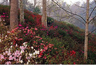 《双人成行》开发商新作《幻裂奇境》现已开放预购